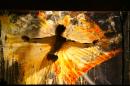 Walldance Couleurs 14 * 4368 x 2912 * (5.87MB)